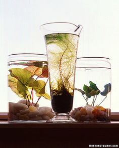 three vases filled with plants and rocks on a window sill