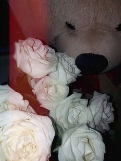 a teddy bear sitting next to some white roses