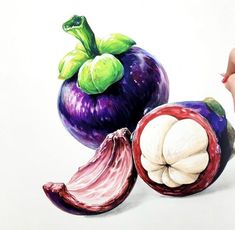 a drawing of an eggplant and onion on a white paper with colored pencils