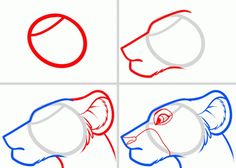 how to draw a dog's head step by step