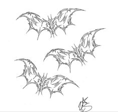 three bats drawn in black ink on white paper