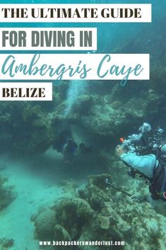 the ultimate guide for diving in anberg's cave, belize with text overlay