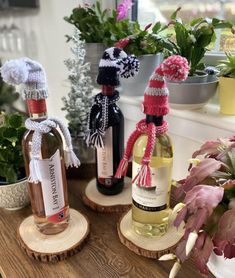 three bottles of wine sitting on top of wooden slices in front of potted plants