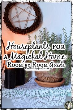 House Plants For Witches, Indoor Witch Garden, Green Witch Interior, Green Witch Aesthetic Bedroom, Green Witch Aesthetic Home Living Room, Green Witch Kitchen Aesthetic, Witch Bathroom Aesthetic, Green Witch Living Room, Green Witch Home Decor