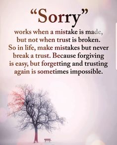 a tree with a bench in front of it that says sorry works when a mistke is made, but not when trust is broken