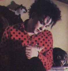 a man in red and black polka dot shirt sitting on the floor with two cats behind him