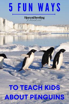 penguins walking in the snow with text overlay reading 5 fun ways to teach kids about penguins