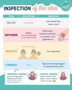 an info sheet with different types of skin and how they are used to describe them