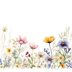 an image of colorful flowers on a white background