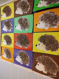 the hedgehogs are made out of different colored paper and placed on a wall