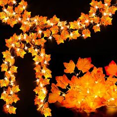 lighted leaves are arranged in the shape of a horse