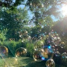 soap bubbles are floating in the air near some trees and bushes on a sunny day