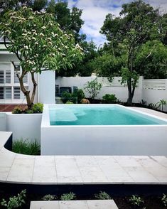 an empty swimming pool in the middle of a garden with trees and shrubs around it