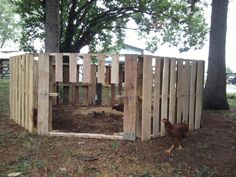 a chicken house made out of pallets and wooden boards in the yard next to a tree