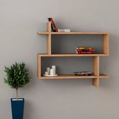 three wooden shelves on the wall next to a potted plant and bookshelf