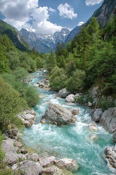 a river running through a lush green forest filled with lots of rocks and greenery