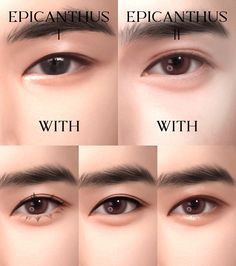 four different types of eyebrows with the words epicantus and picantius written on them