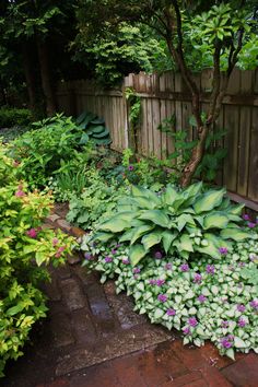 a garden filled with lots of green and purple flowers next to a wooden privacy fence