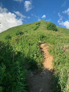 a trail going up the side of a green hill