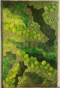 moss covered wall hanging on the side of a building