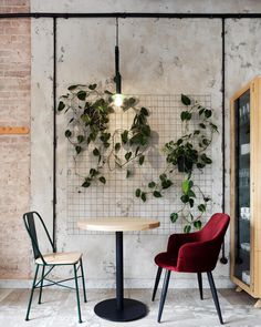 two chairs and a table in front of a wall with plants hanging on the walls