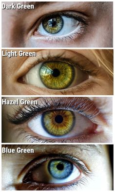 Brown Hair Colors With Green Eyes, On Trend Makeup, What Hair Color Goes With Green Eyes, Dark Hair Ideas For Pale Skin, Brown Hair Colors 2023 Trends, Best Dark Hair Colors, Hair Color For Eye Color, Hair Color Pale Skin Green Eyes, Auburn Hair Color Green Eyes