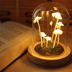 mushrooms in a glass dome on top of a table with an open book behind it