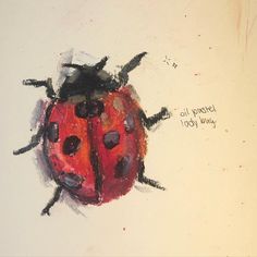 a drawing of a lady bug with words written on it