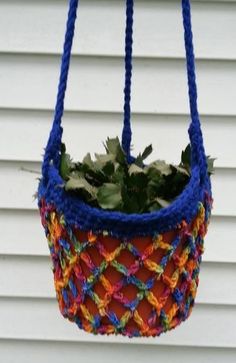 a plant in a hanging basket with blue string