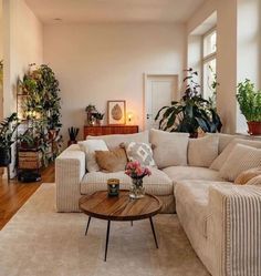 a living room filled with furniture and lots of plants on top of the couches