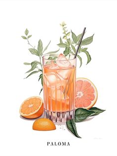 an illustration of a drink with oranges and leaves