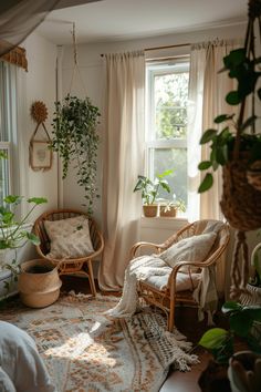 a living room filled with lots of plants next to two chairs and a rug on the floor