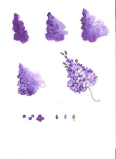 purple flowers are arranged in different shapes and sizes