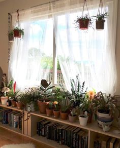 a room filled with lots of potted plants on top of a wooden shelf next to a window