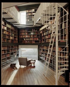 an image of a room with bookshelves and a cat sitting on the floor