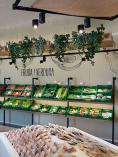 an assortment of fresh vegetables on display in a grocery store with hanging planters above them