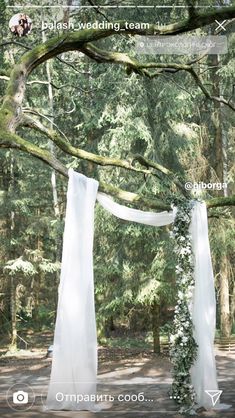 the wedding arch is decorated with white flowers and greenery for an outdoor ceremony in the woods