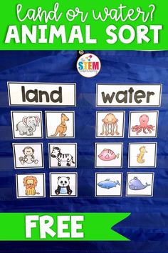 an animal sort poster with the words land or water on it and pictures of animals