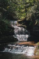 there is a small waterfall in the woods