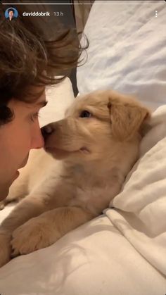 a man laying in bed kissing a puppy