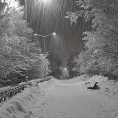 a snow covered park bench sitting under a street light in the middle of a snowy night