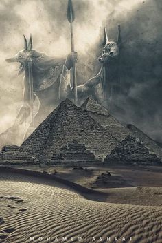 Egyptian Jackal, Egyptian Artwork, Ancient Egyptian Deities, Egypt Concept Art, Ancient Egypt Gods, The Great Pyramid, Great Pyramid