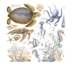 an ocean scene with sea animals and other marine life on white background, watercolor painting