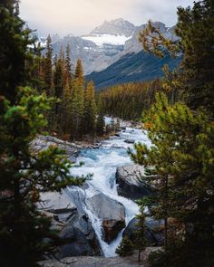 a river running through a forest filled with rocks and trees in front of snow covered mountains