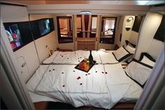 an airplane bedroom with white sheets and red rose petals on the bed