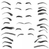 a bunch of different types of eyebrows on a white background