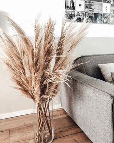 a vase filled with dry grass sitting on top of a wooden floor next to a couch