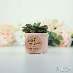 a small potted plant sitting on top of a table next to some white flowers