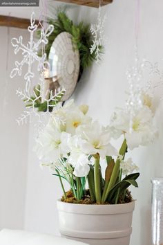 white flowers in a pot with snowflakes on the wall behind it and a wreath hanging above