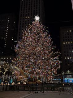 a large christmas tree is lit up in the city